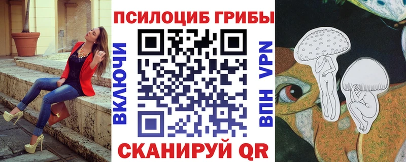 Купить  Высоцк  Псилоцибиновые грибы прущие грибы 